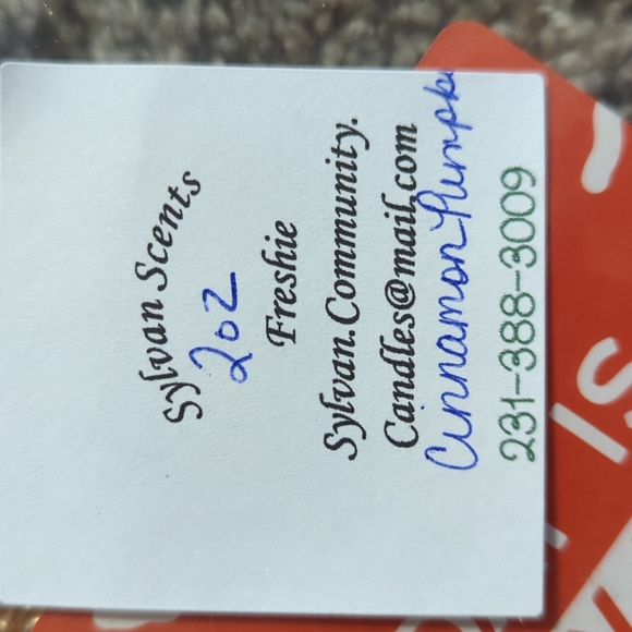 Cinnamon, pumpkin mushroom and apple cinnamon owl freshies - Picture 6 of 9